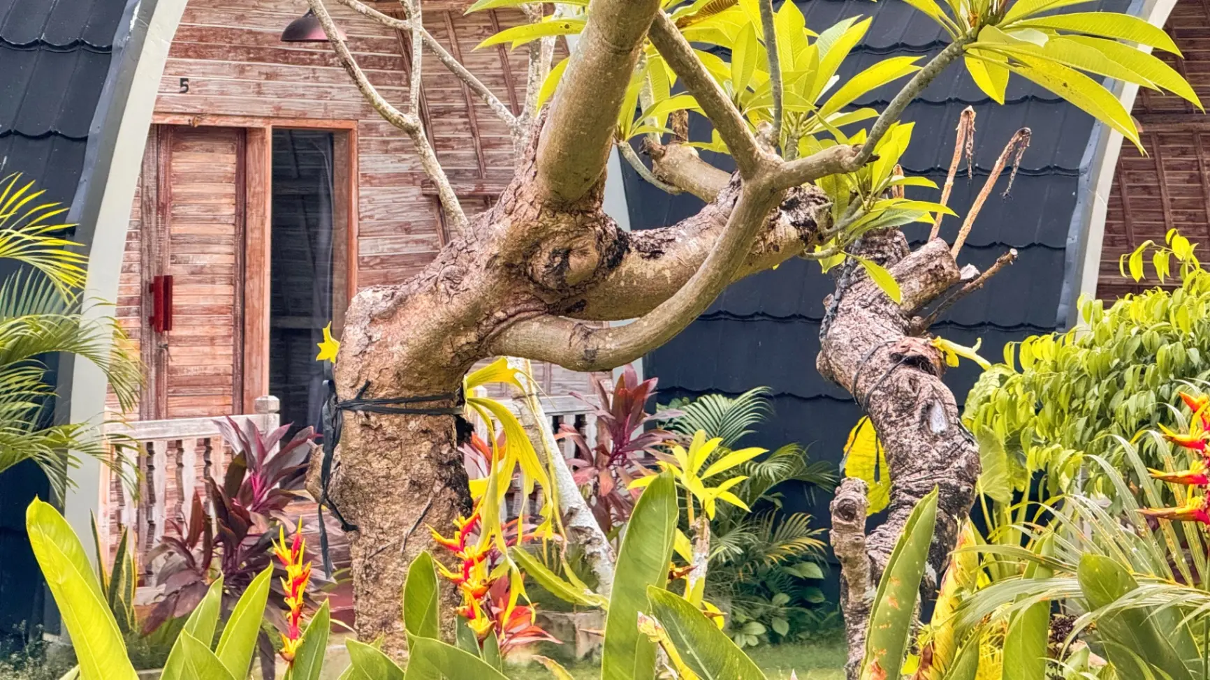 Surya Jungle Padonan