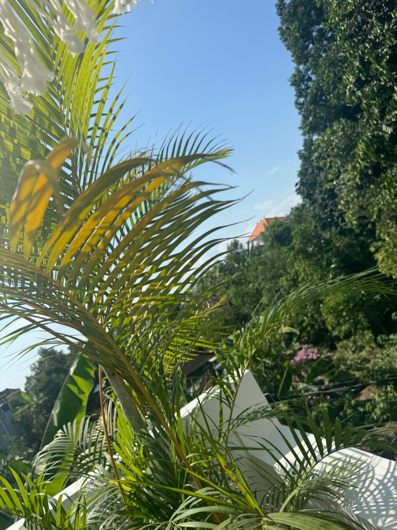 Villa image 3