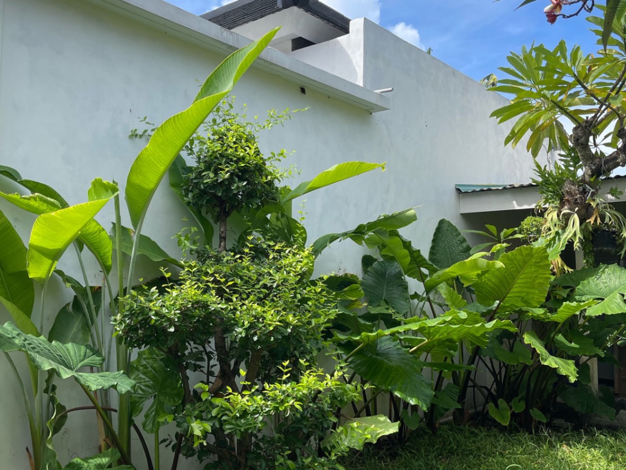 Villa image 3