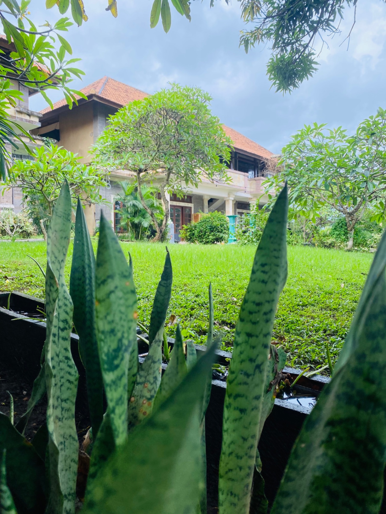 Villa image 1
