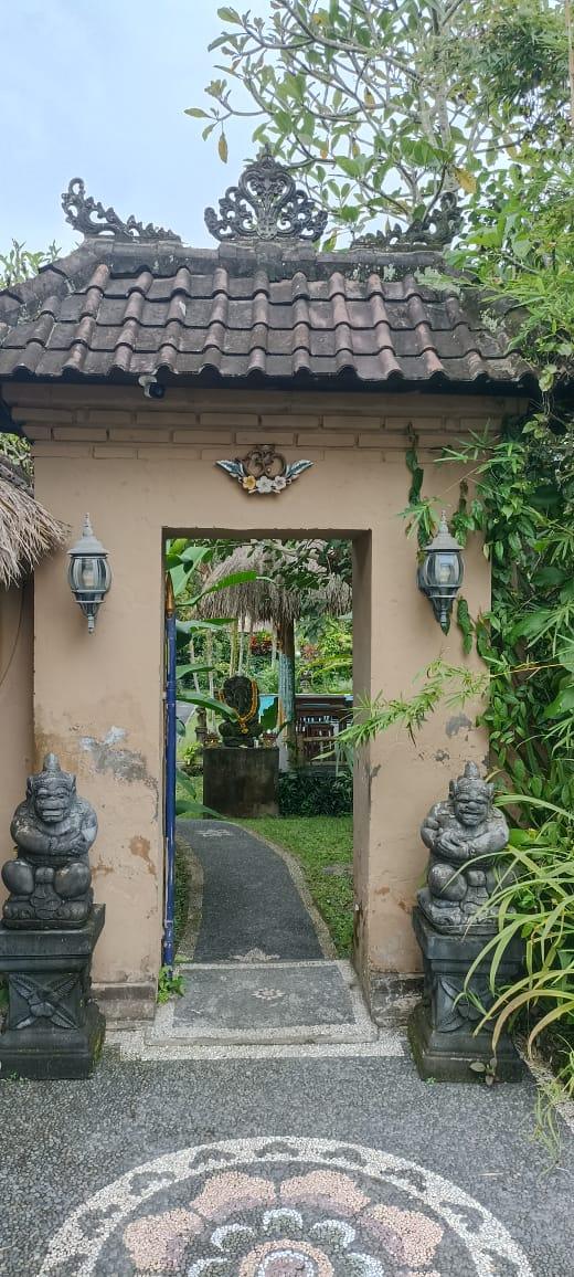 Villa image 5