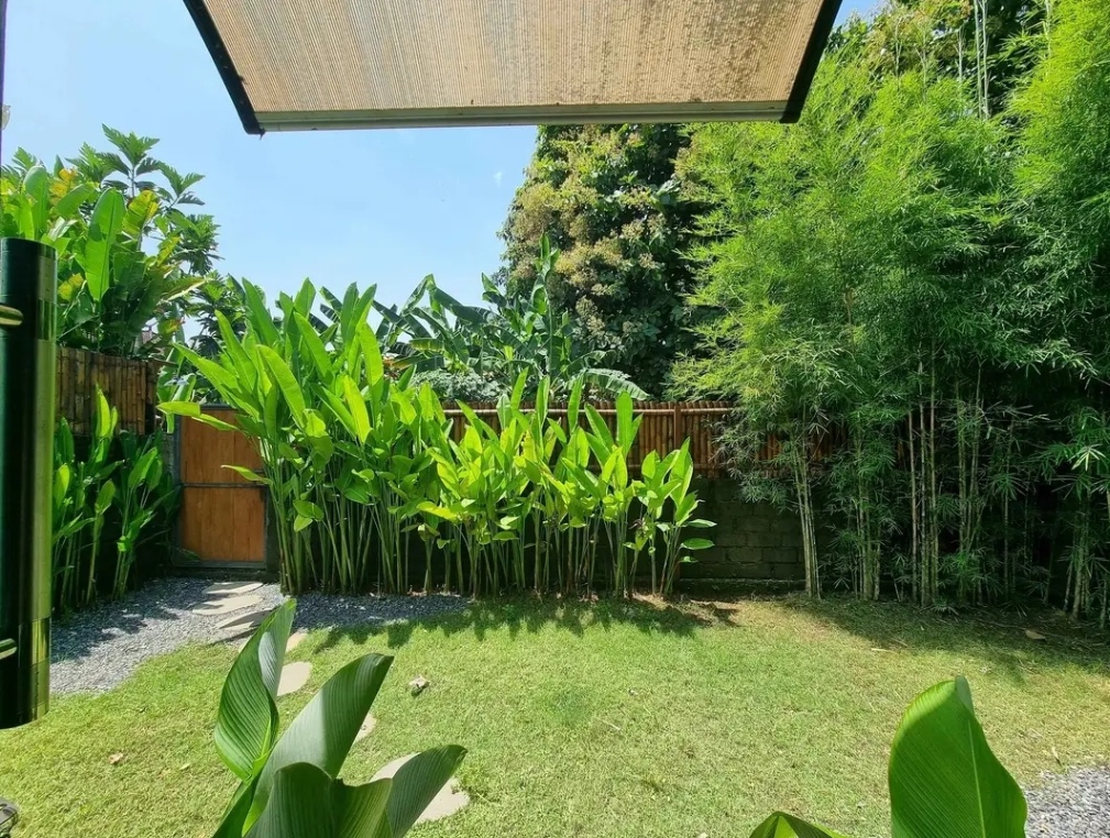 Villa image 2