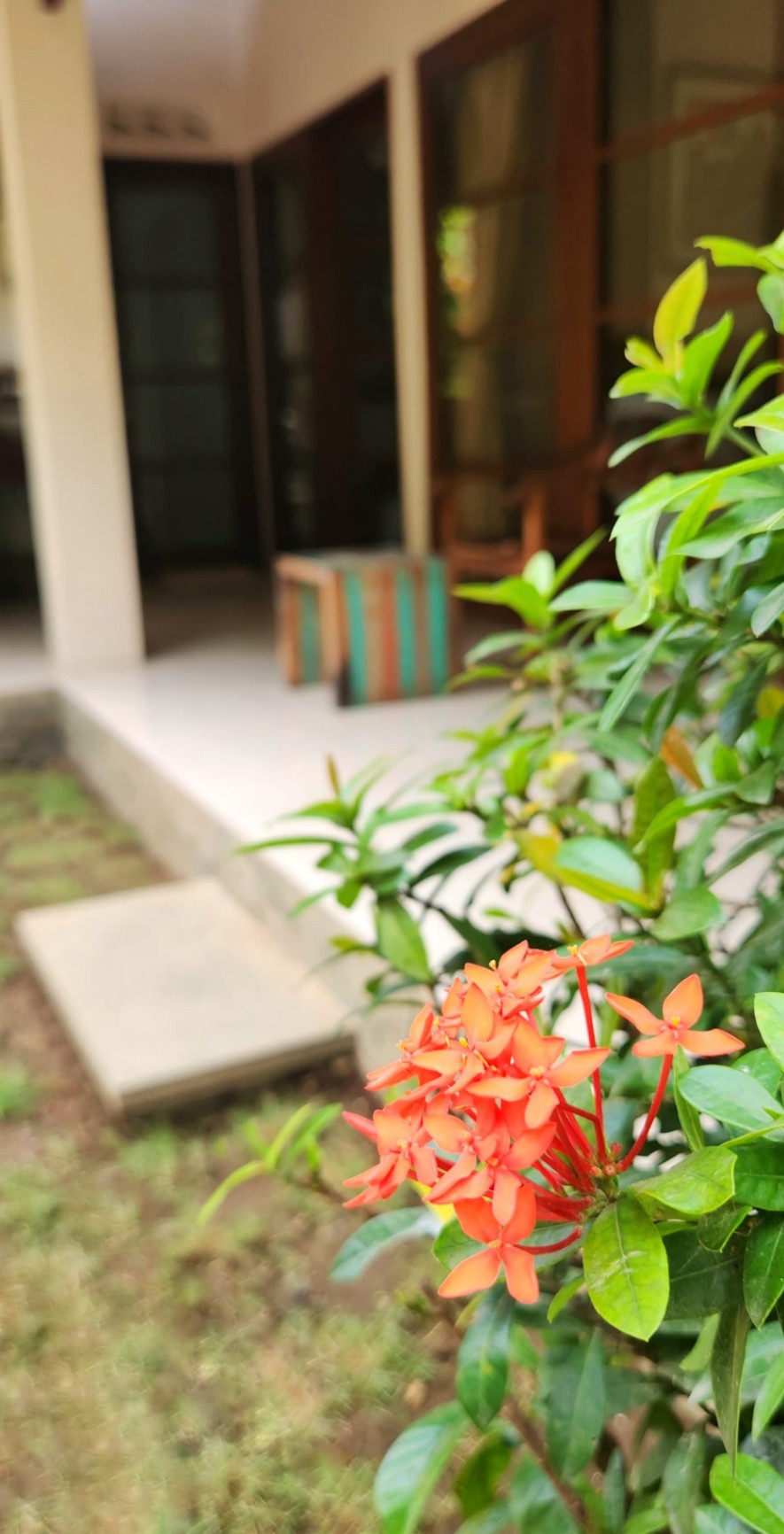 Villa image 2