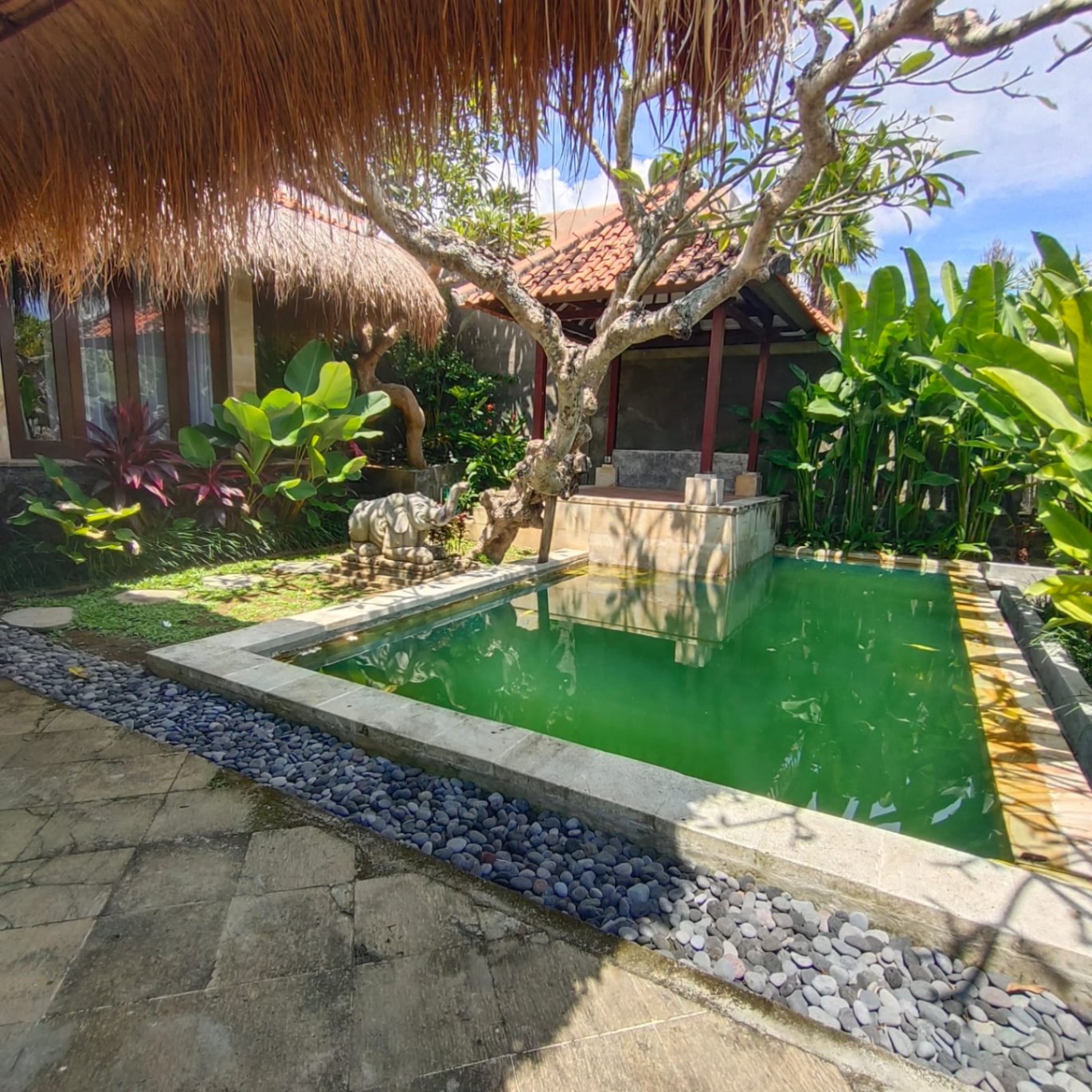 Villa image 3