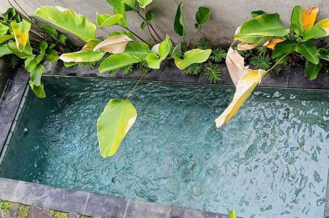 2BR Villa In Sanur