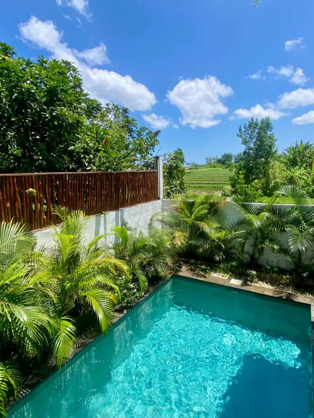 Pet Allowed | 3 Bedrooms | Kerobokan