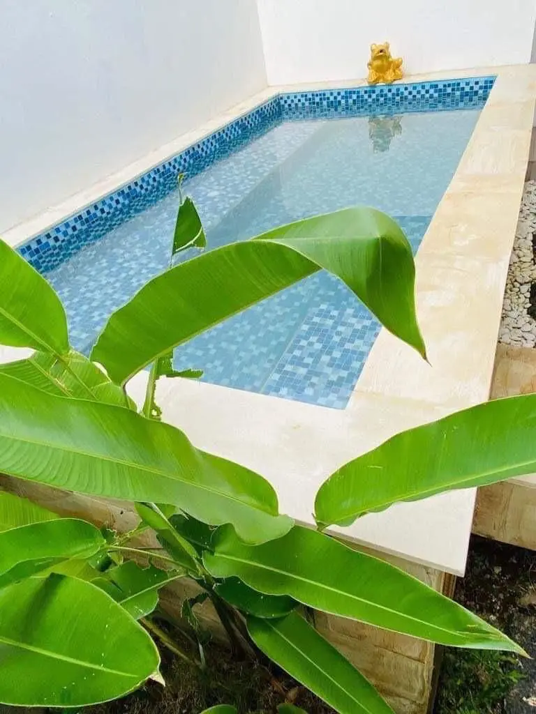 AN 071- FOR RENT MINIMALISH VILLA LOCATED AT KUTUH 