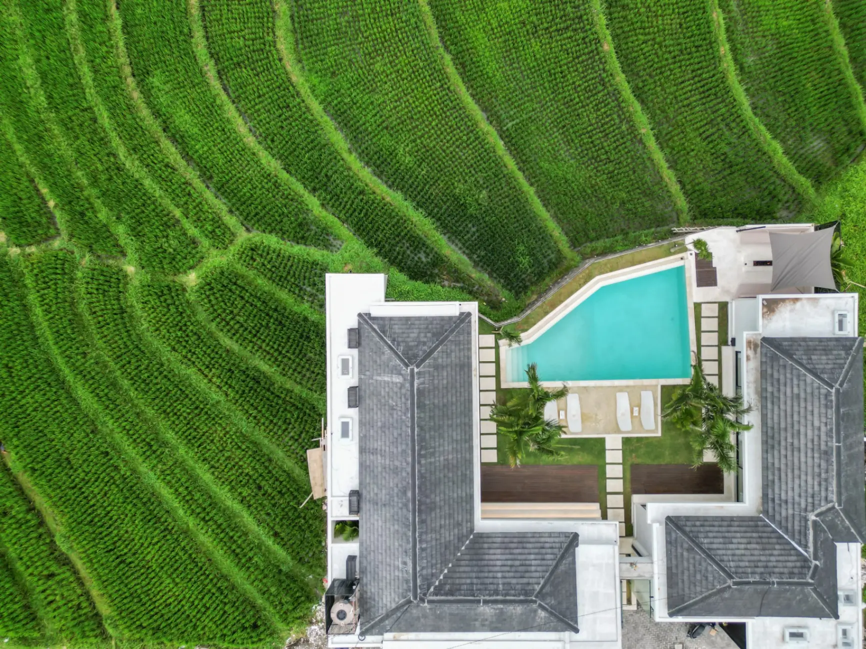 Pererenan 5- bedroom