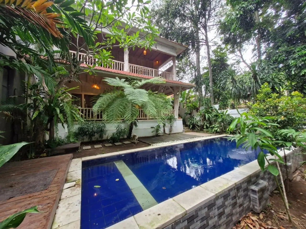 Villa For Rent 3 Bed In Pererenan,Badung Bali KD-3759