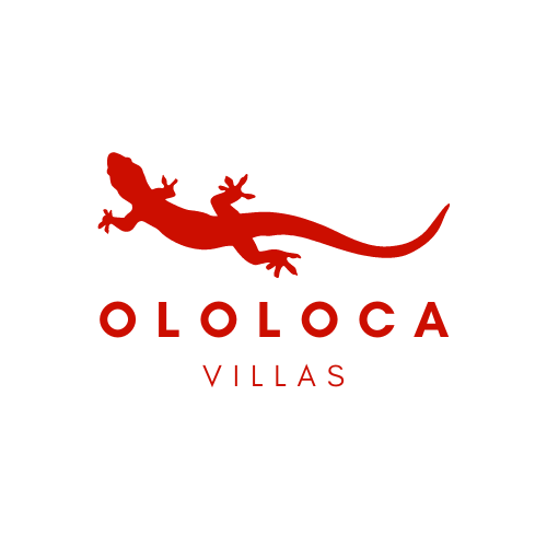 Ololoca