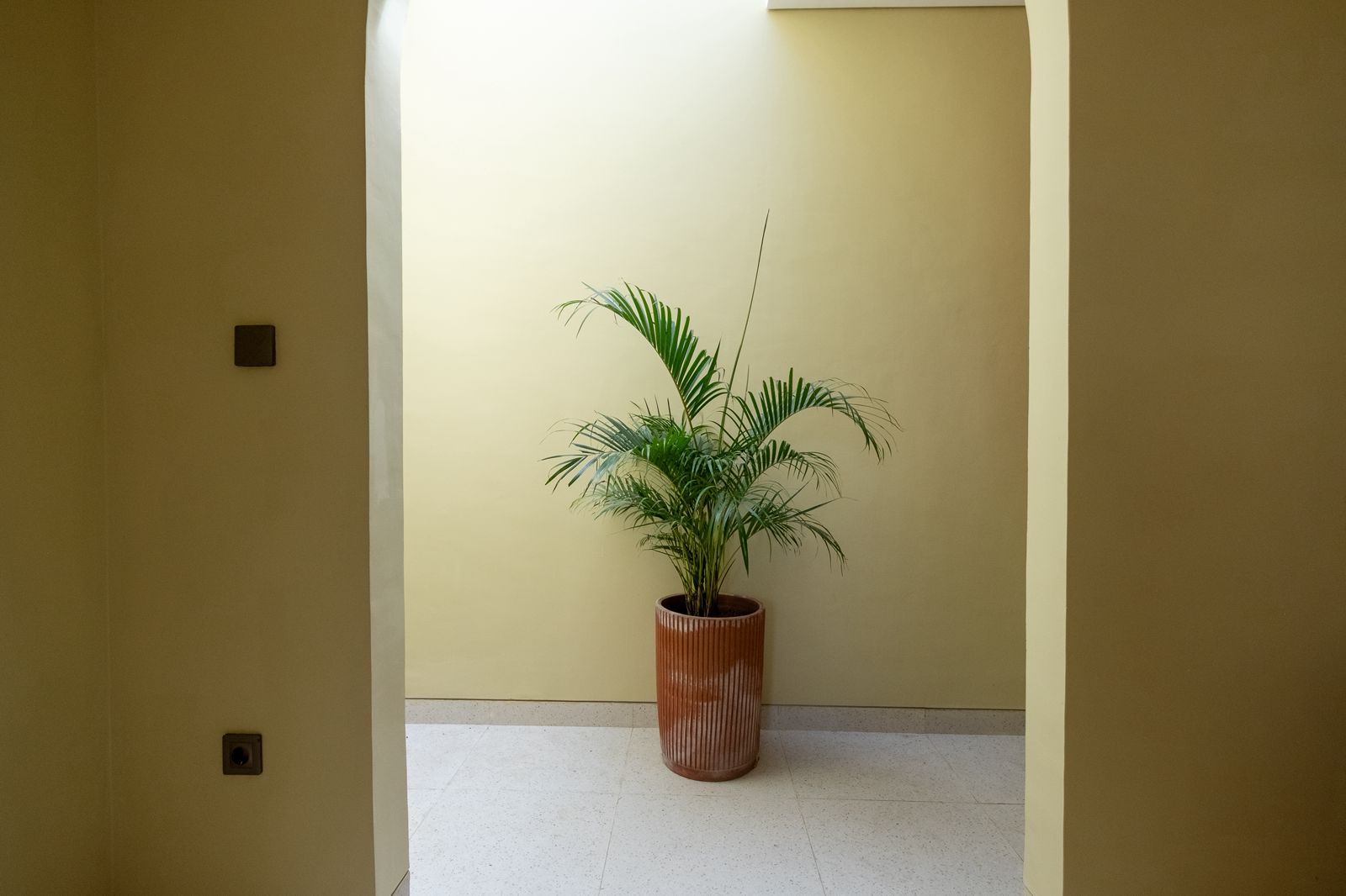 Villa image 4