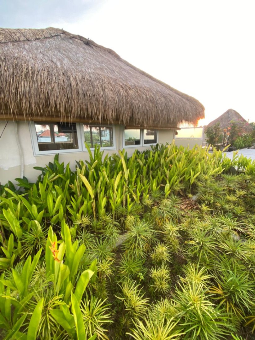Villa image 4