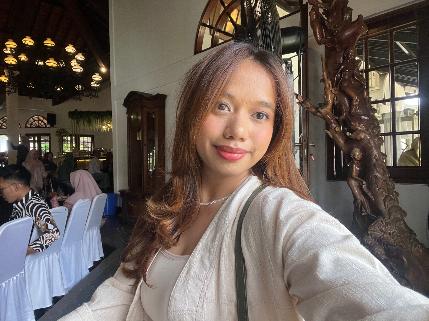 Vira diana agustin