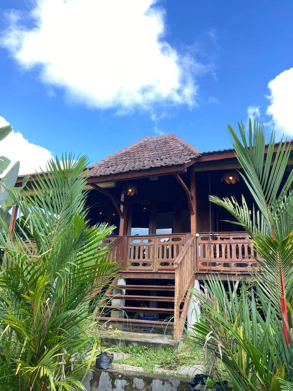 Villa image 3