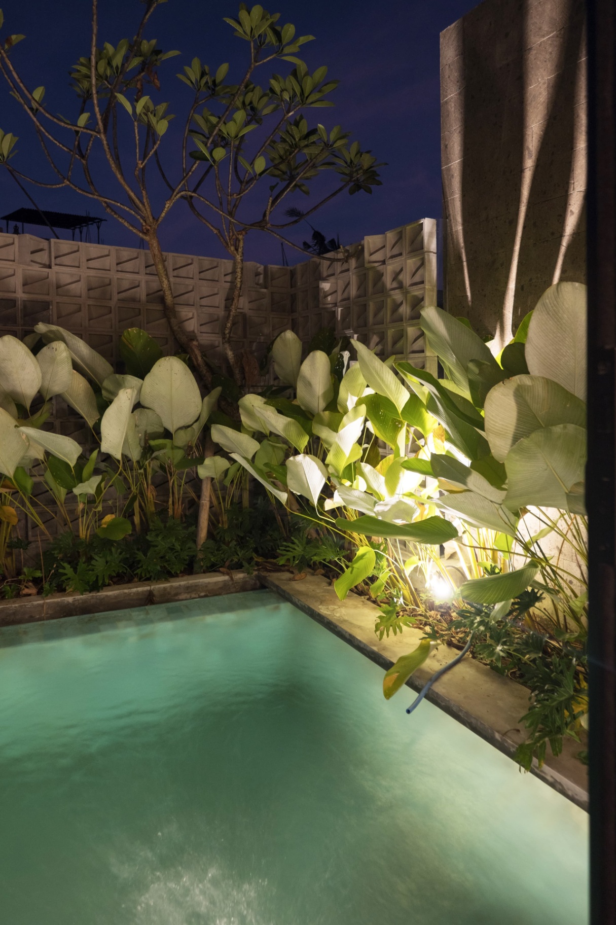 Villa image 5