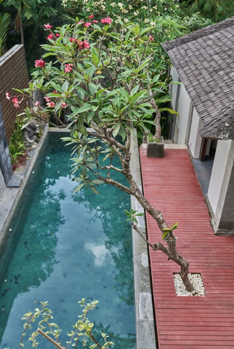Villa image 2