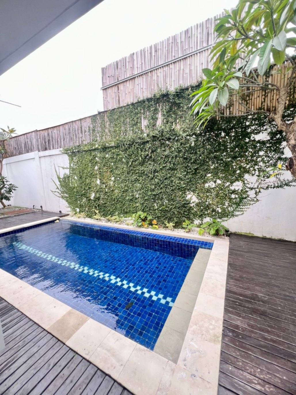 Villa image 4