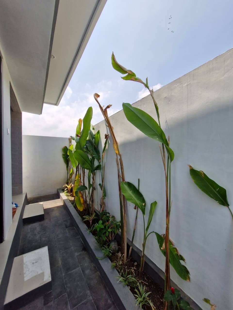 Villa image 4