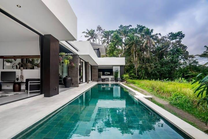 Villa image 1