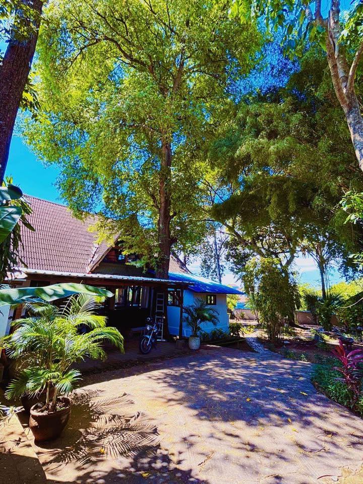 Villa image 2