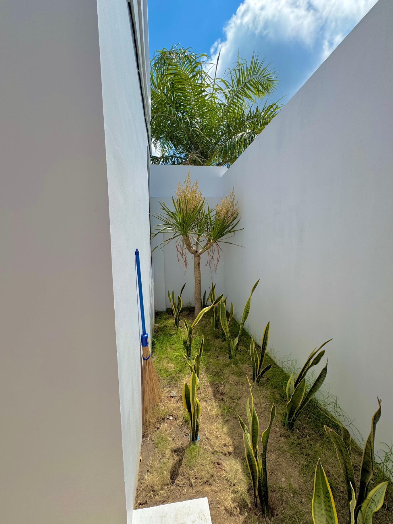 Villa image 4