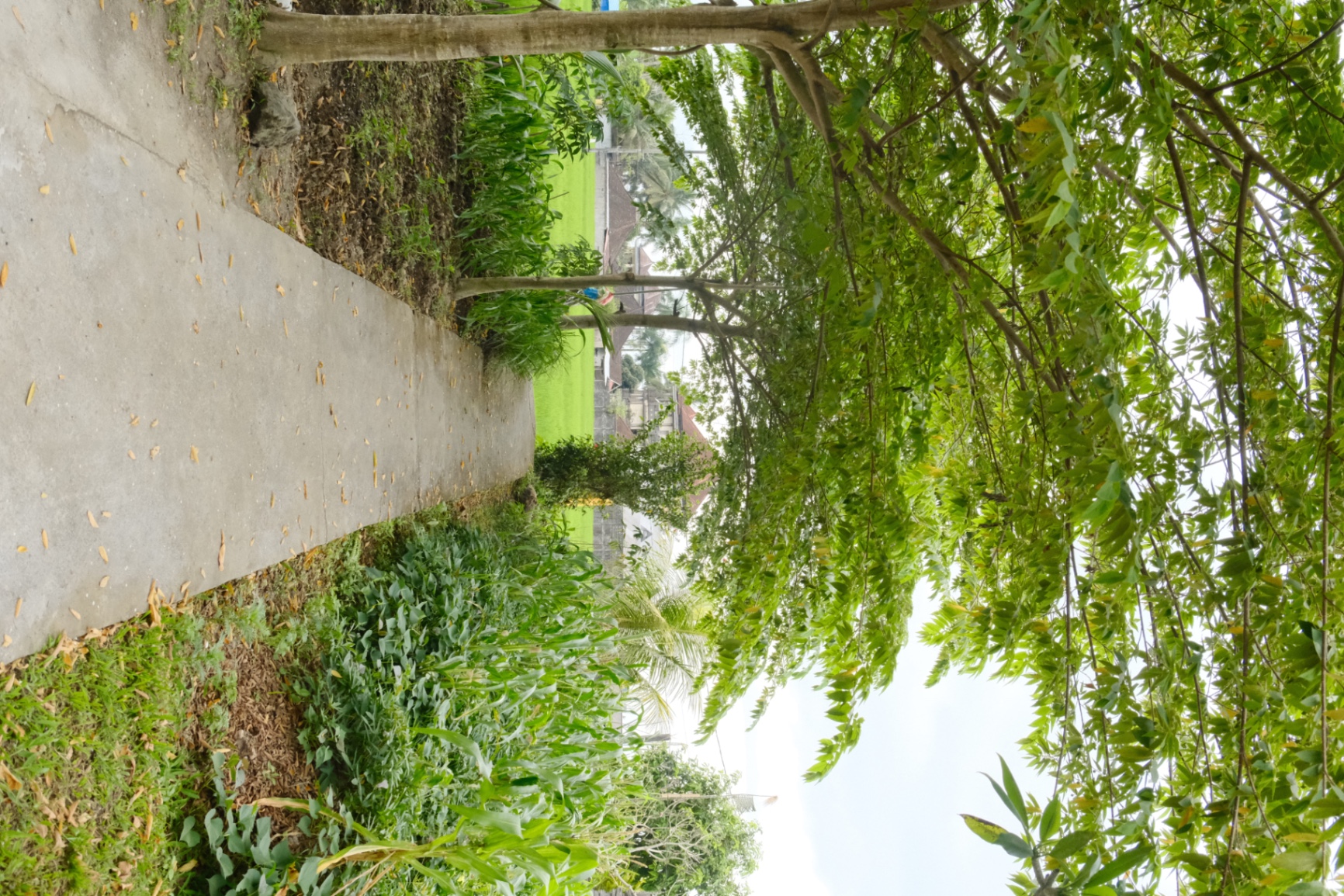 Villa image 3