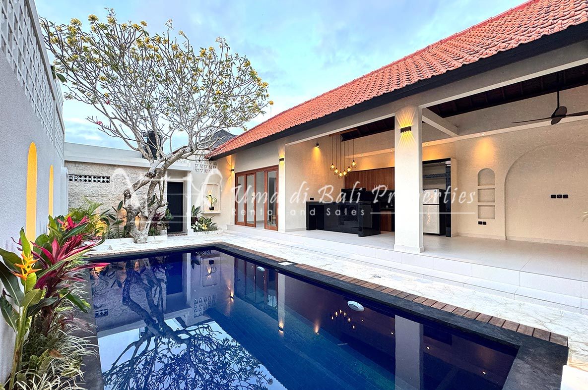 Villa image 1