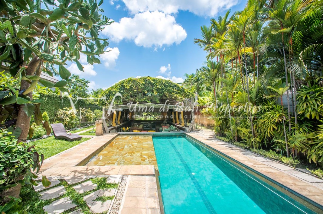 Villa image 3