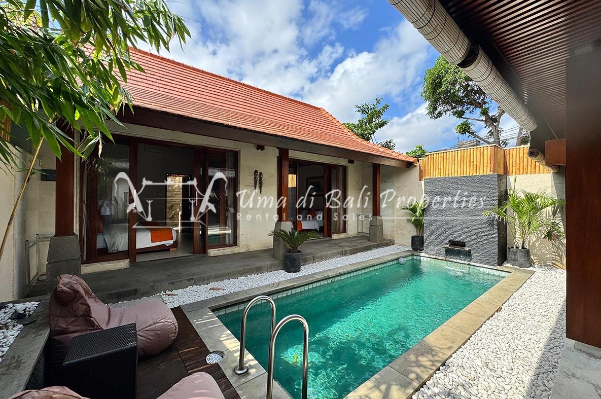 Villa image 1