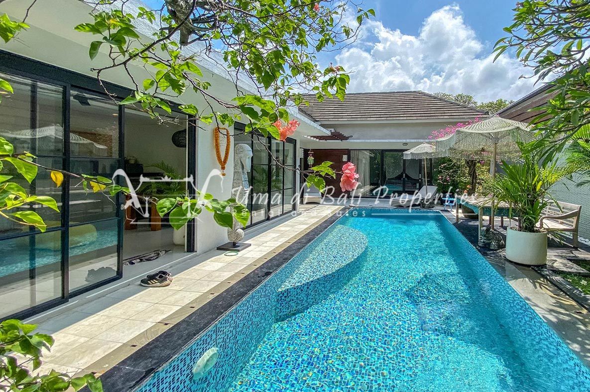 Villa image 1