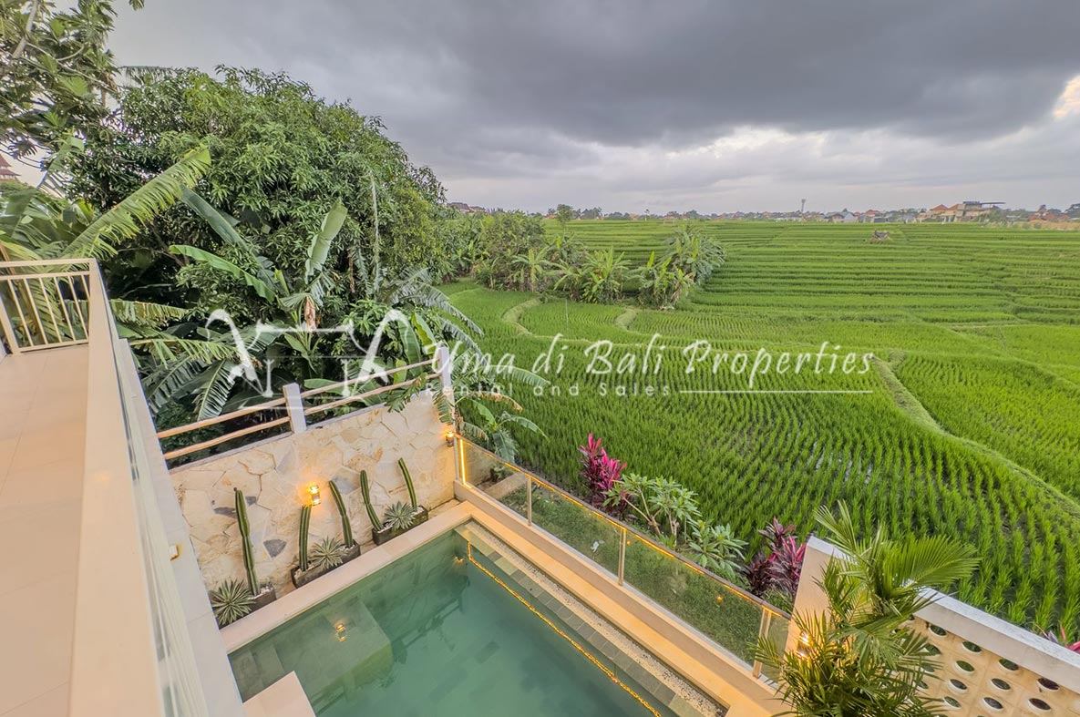 Villa image 1