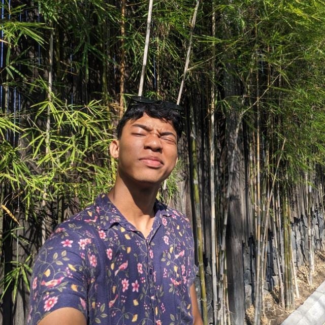 Dimas Dewa