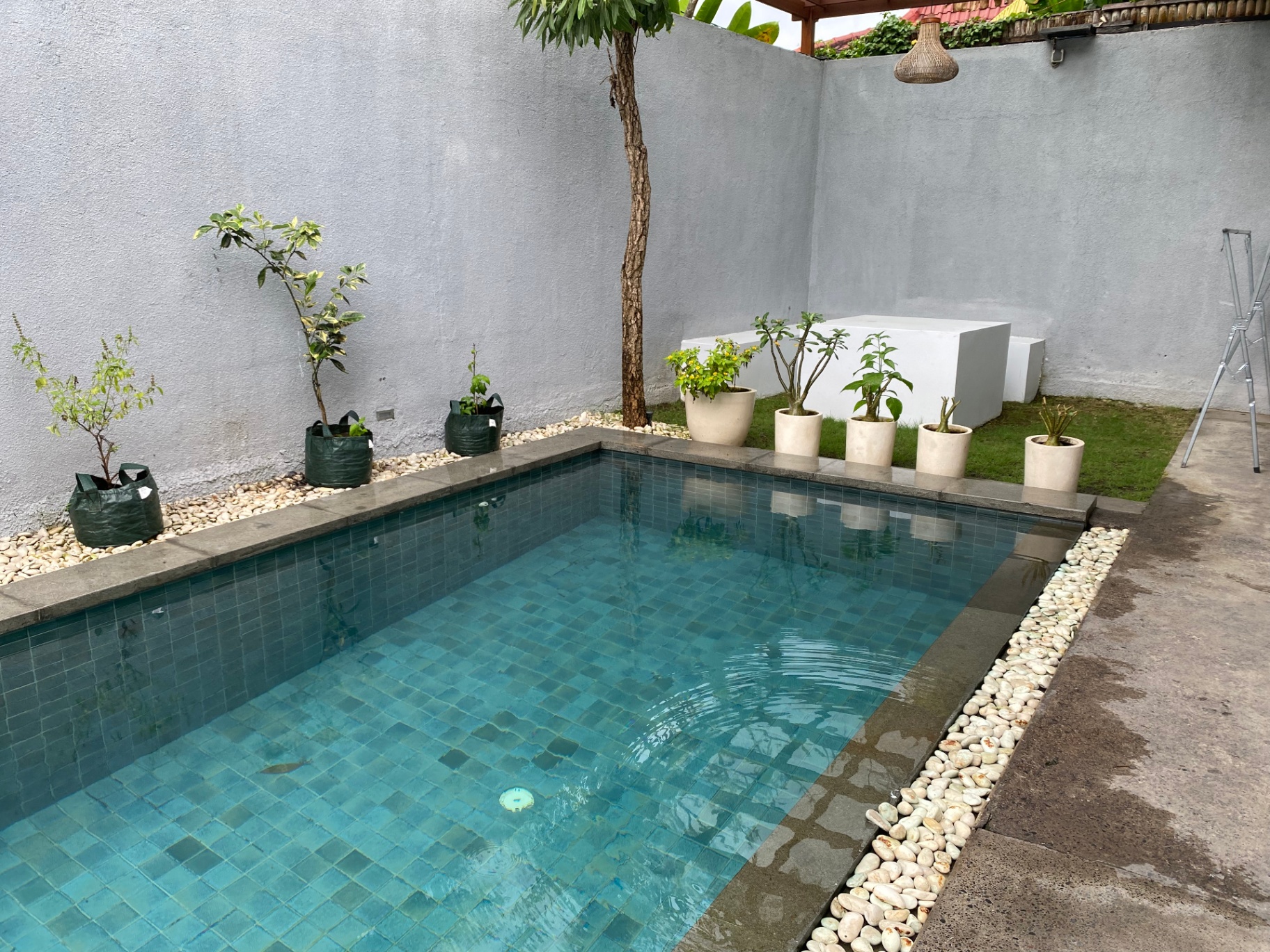 Villa image 3