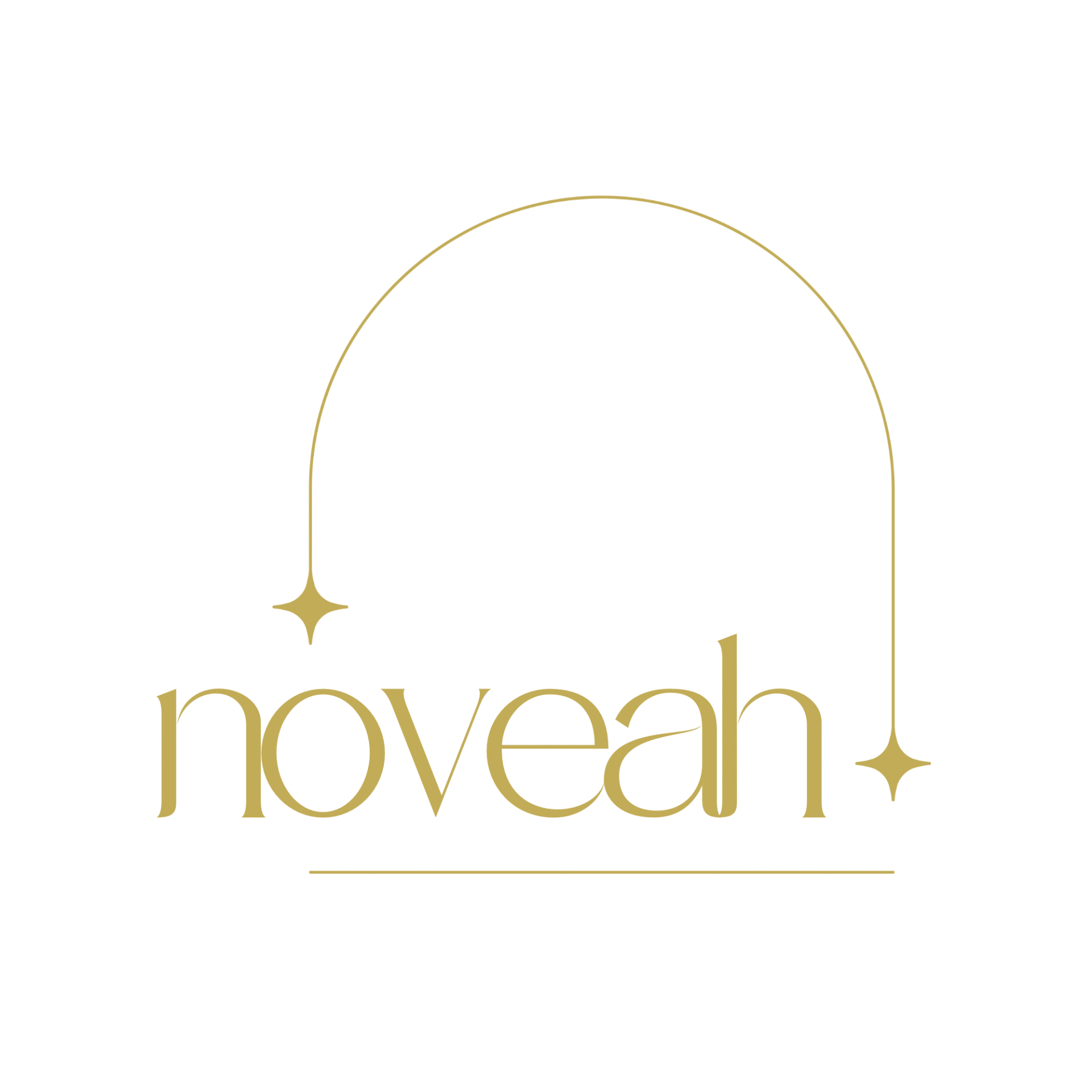 Owner Logo