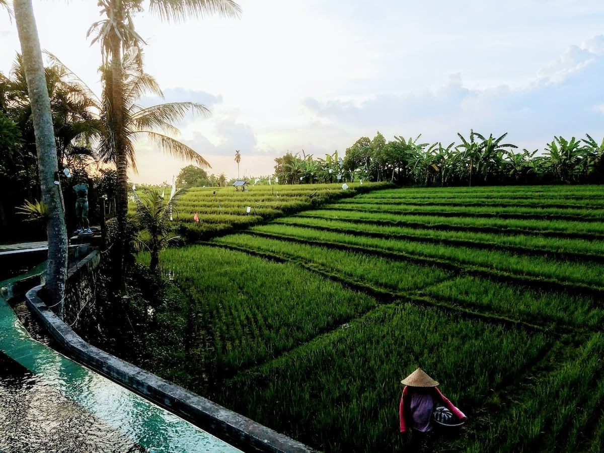 DO 07 - VILLA FOR SALE IN CANGGU BALI