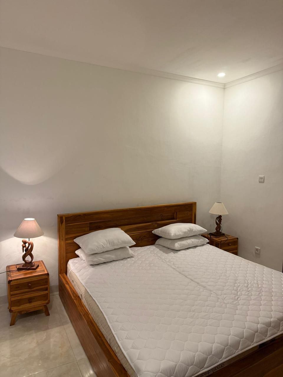 Villa image 1