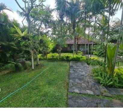 Villa image 5