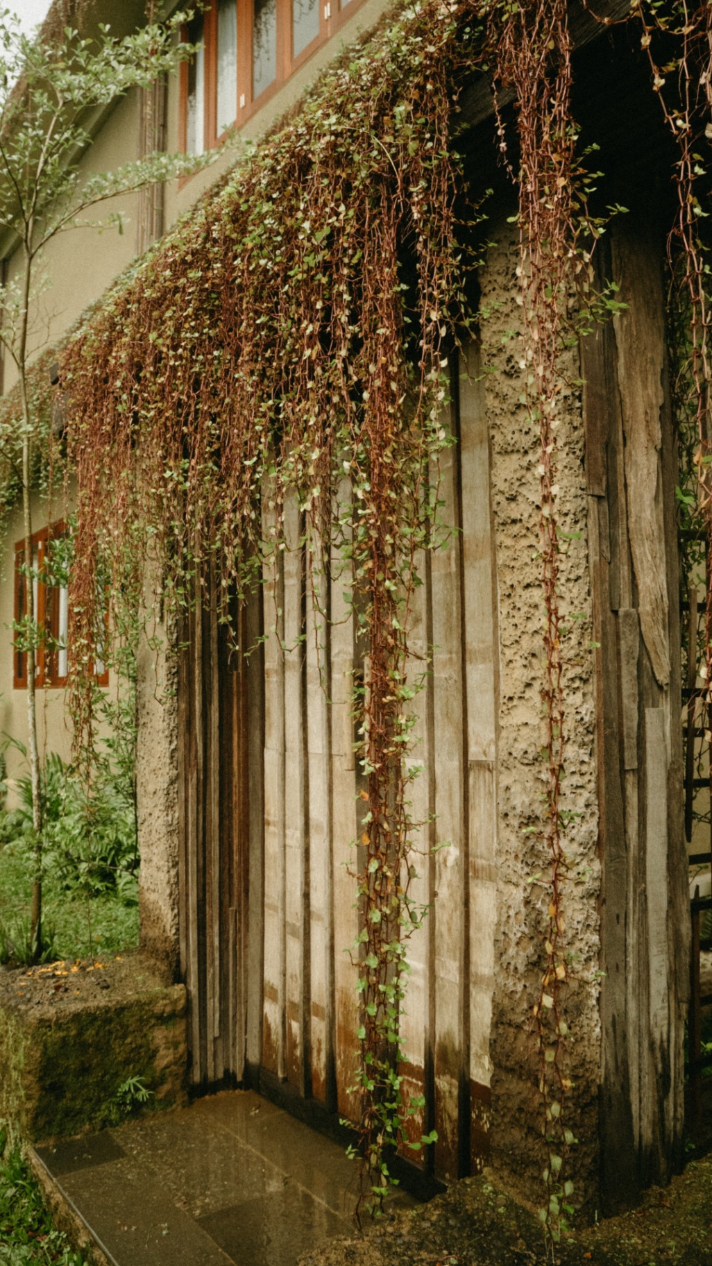 Villa image 5