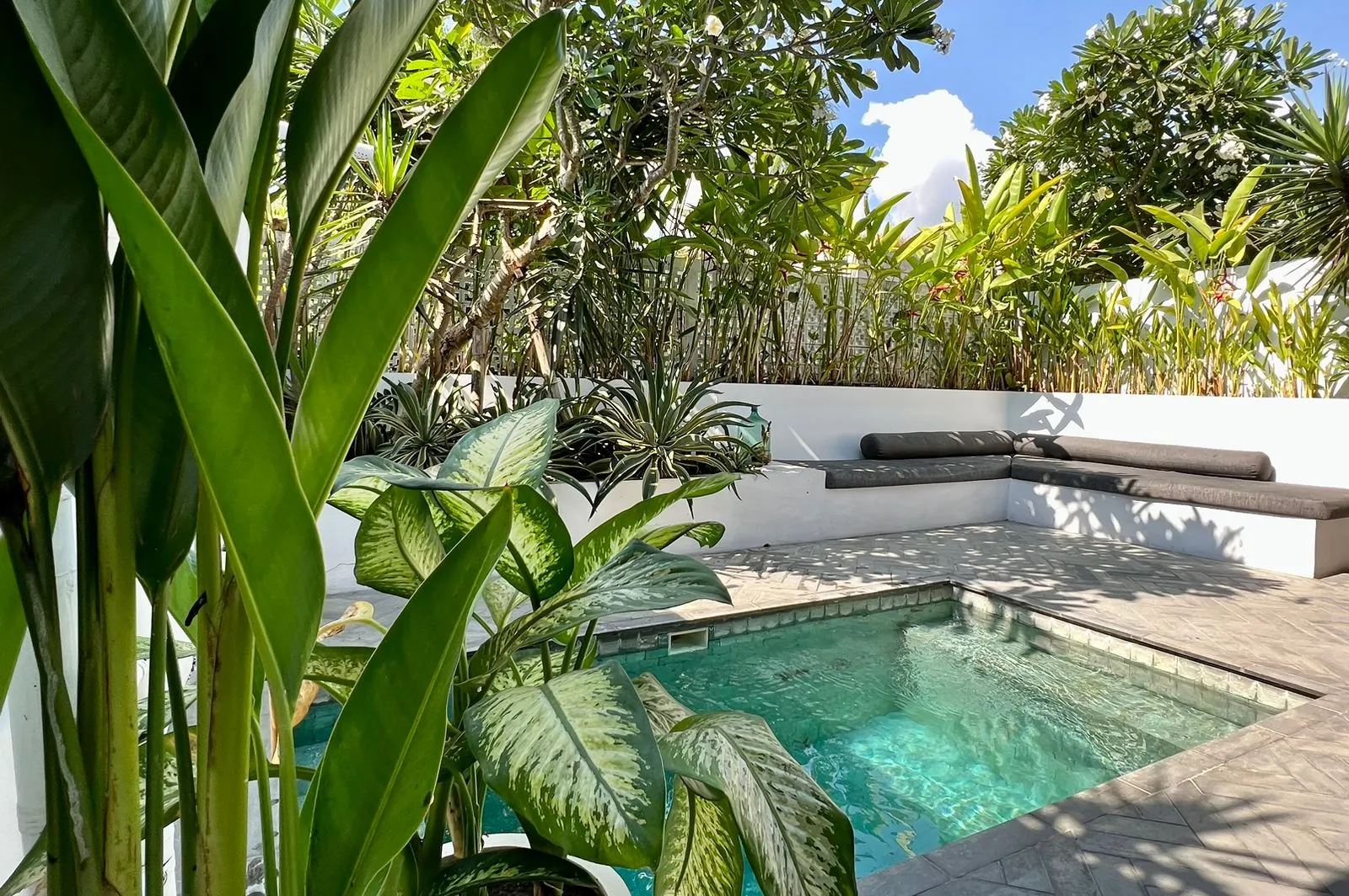 Pererenan 1 bedroom villa in Pererenan - Image 2