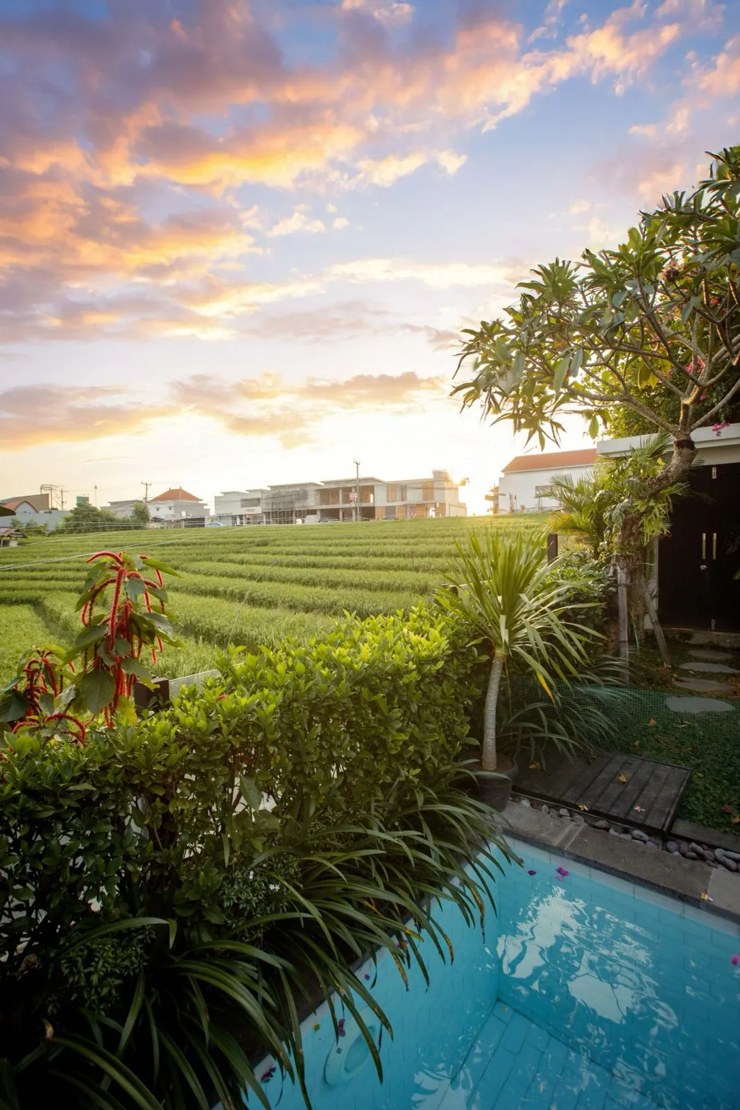 2 BEDROOM VILLA FURNISHED FOR YEARLY RENT IN PERERENAN – IB85 in Canggu - Image 2