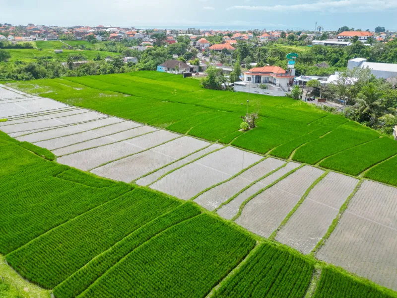 Newly Built : 2BR VIlla - No Contruction  in Seseh - Image 5