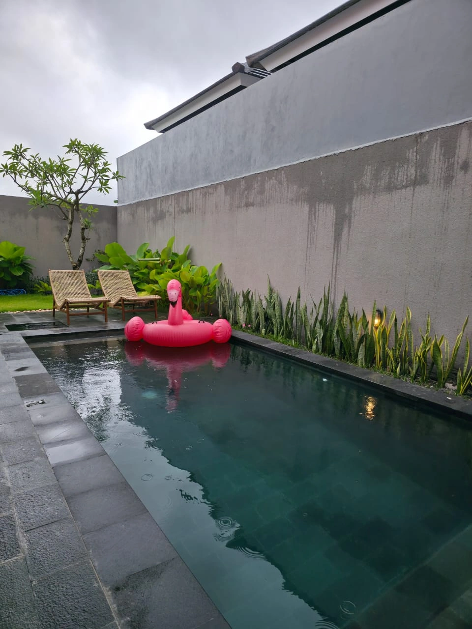 DO 496- FOR RENT VILLA TROPICAL MODERN LOCATED AT UMALAS