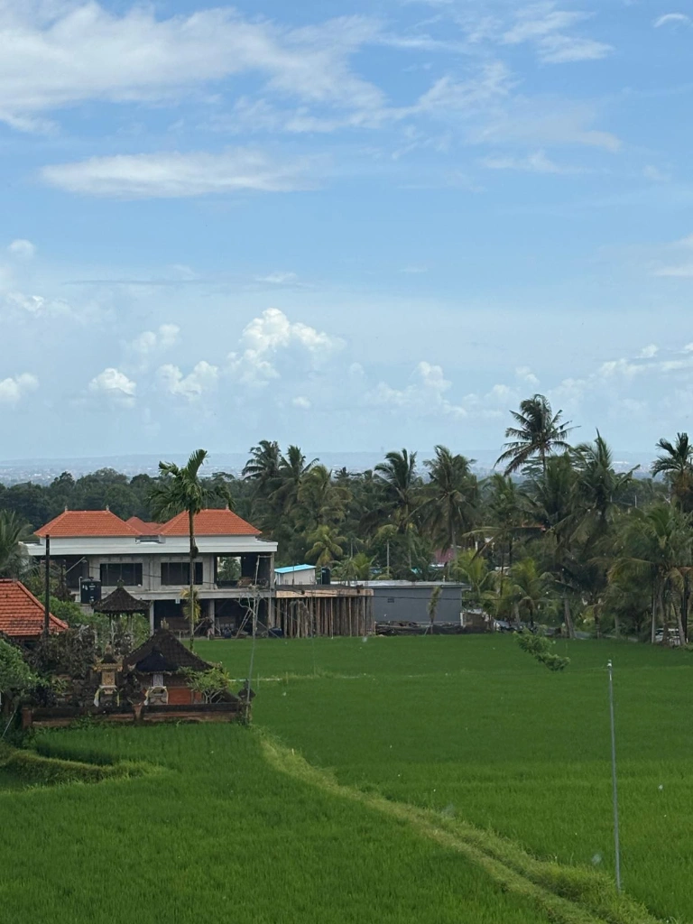 4-bedroom rooftop villa with pool and 360° rice field view in Ubud - Image 3