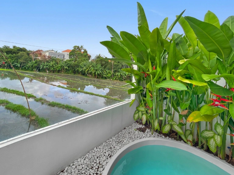 Villa Inhale By Local Property Team in Canggu - Image 2