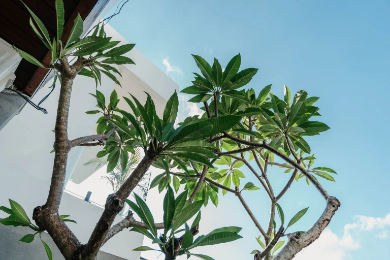 TOP LOCATION Pererenan cozy villa in Pererenan - Image 2