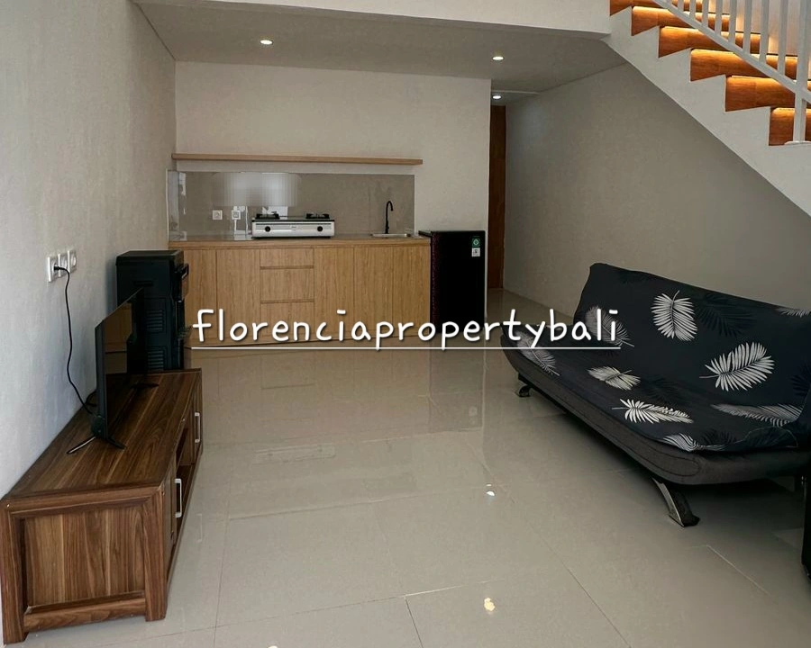 (FW003SA-Y) Sanur Villa - Brand New 1-Bedroom Mezzanine-Style Home in Sanur - Image 3