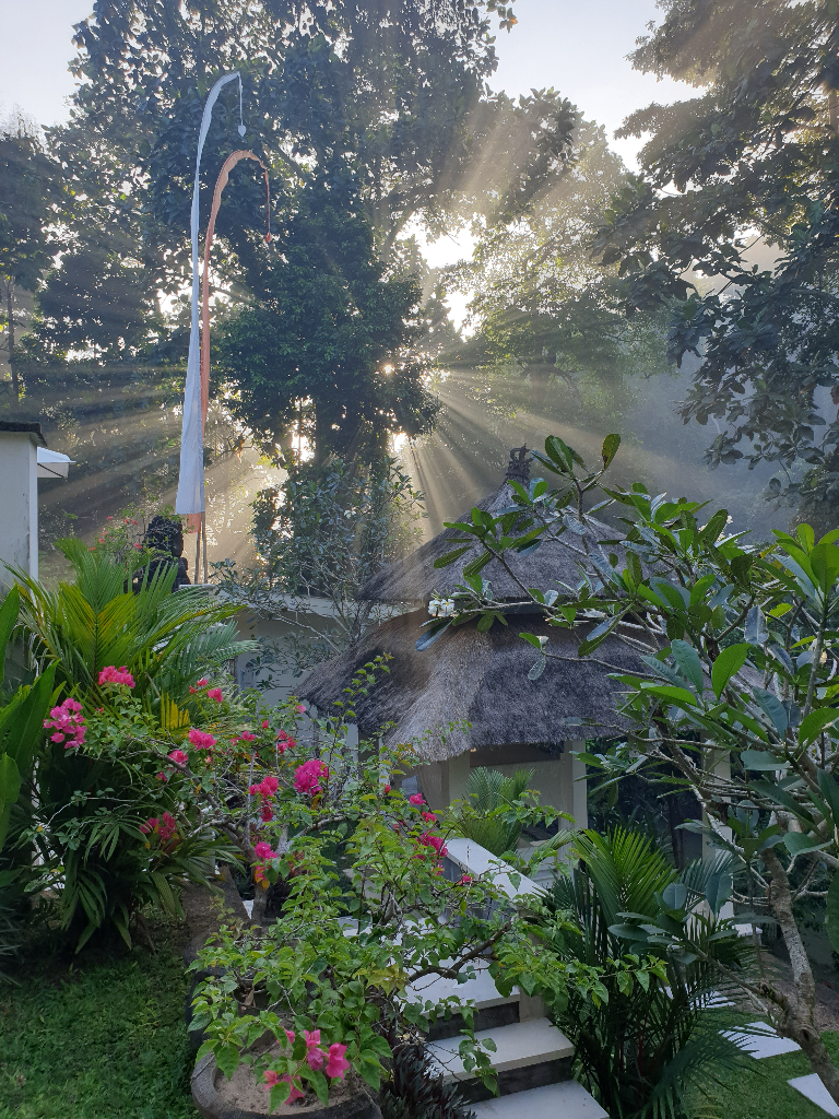 Zen Retreat Paradise 1840sqm 5 villas , 7 bedrooms, 1 office, 2 pools, 1 gym