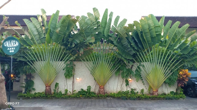 1 KT 1 Kamar Mandi Apartemen/kondominium - 1Bedroom 1 bathroom apartment in Seminyak - Image 5