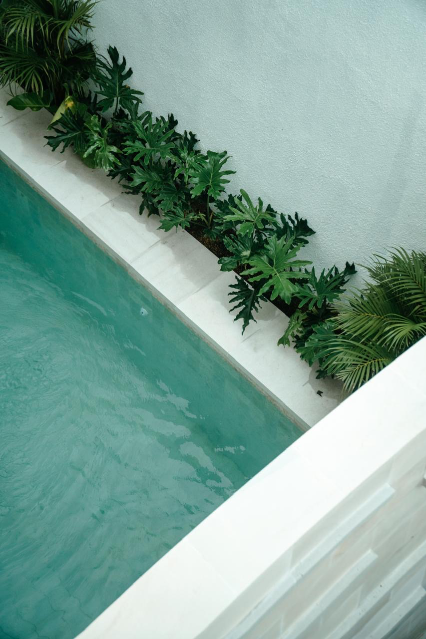 El yo bi villa in Canggu - Image 5