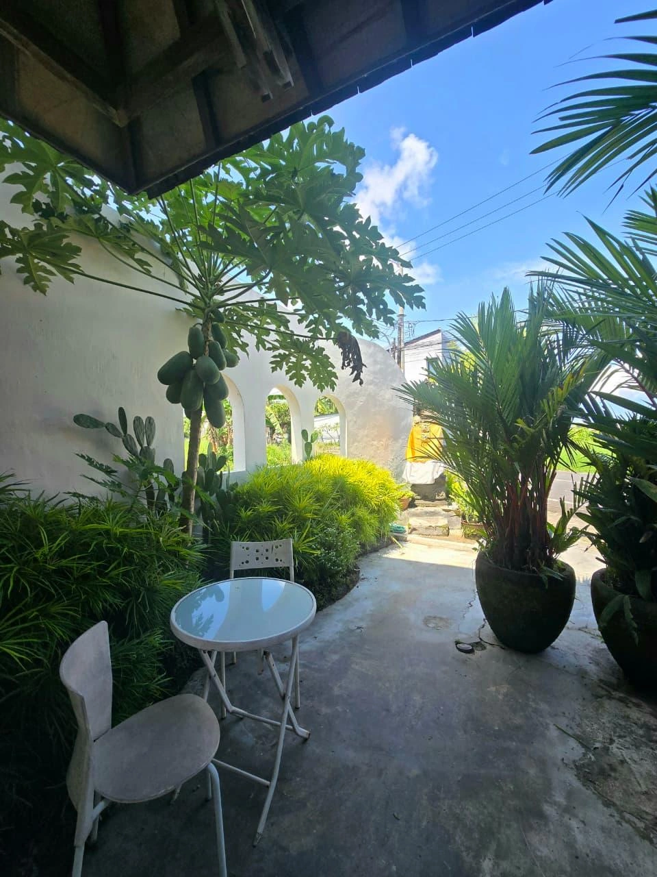 Canggu Surfers Studio wifi aircon & kitchenet. 4 mins Pepito Batu Bolong / Xfit in Canggu - Image 2